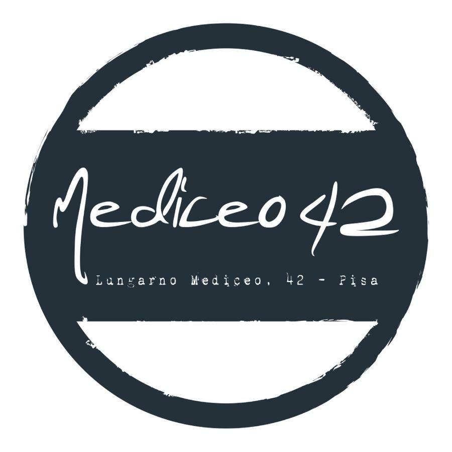 Mediceo 42 - Intero Appartamento ピサ エクステリア 写真